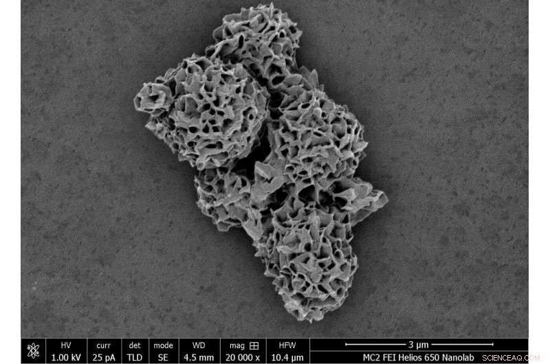Record-Setting Synthetic Microparticle Exceeds Natural Intricacy