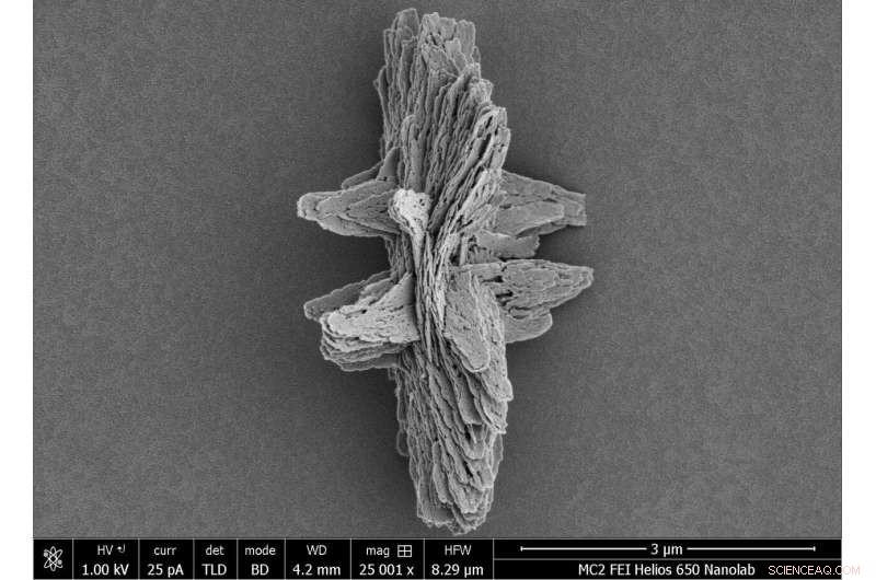 Record-Setting Synthetic Microparticle Exceeds Natural Intricacy