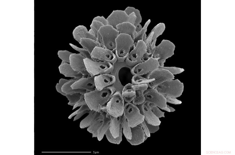 Record-Setting Synthetic Microparticle Exceeds Natural Intricacy