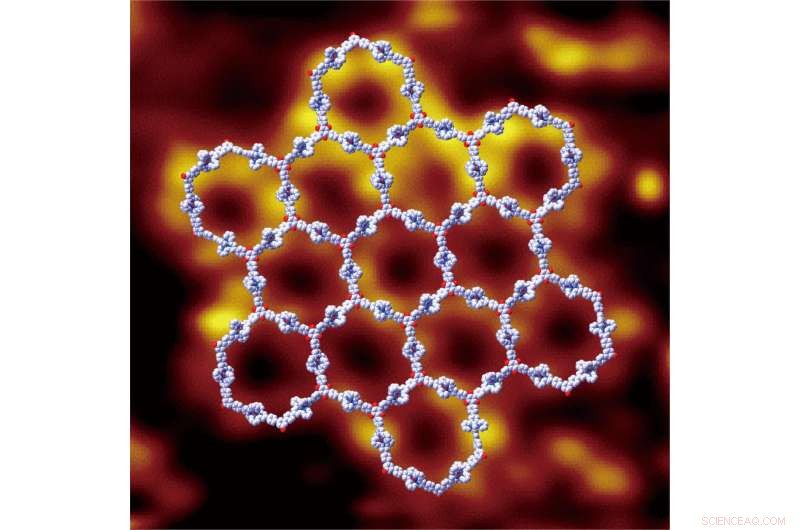 Advancing 2-D Supramolecules: USF Scientists Break New Ground