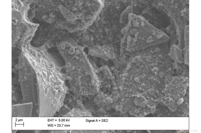 Hybrid Mesoporous Silicon–Carbon Nanotube Material Enhances Silicon Li‑Ion Battery Performance