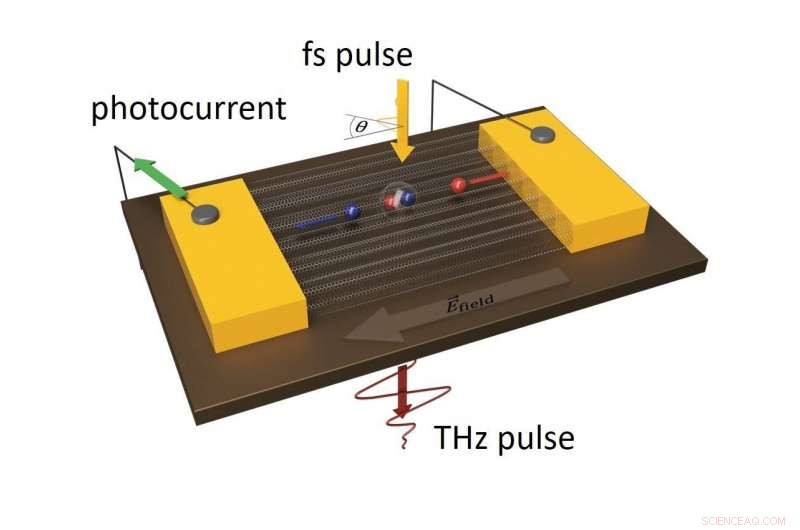 Terahertz Science Reveals Ultrafast Photocarrier Dynamics in Carbon Nanotubes