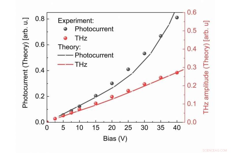 Terahertz Science Reveals Ultrafast Photocarrier Dynamics in Carbon Nanotubes