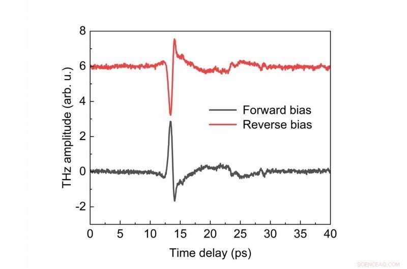 Terahertz Science Reveals Ultrafast Photocarrier Dynamics in Carbon Nanotubes