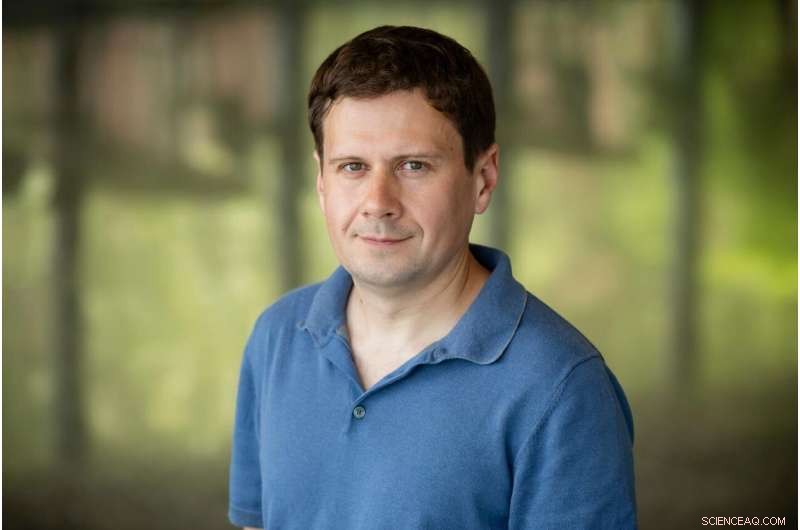 Unraveling SDS-Induced Protein Unfolding: Molecular Dynamics Insights