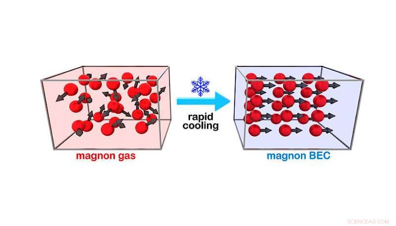 Rapid Cooling Unlocks Bose‑Einstein Condensates for Quantum Nanotech