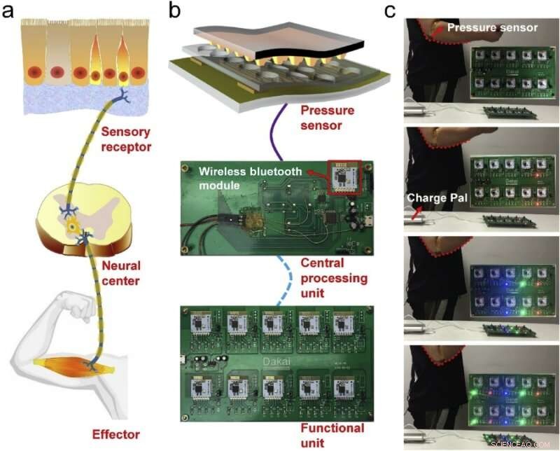 Innovative Flexible Pressure Sensor Enhances Human‑Machine Interaction