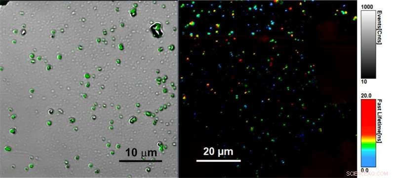 Scientists Create Stable, Bright Perovskite Nanocrystal Composite for Miniature Light Sources