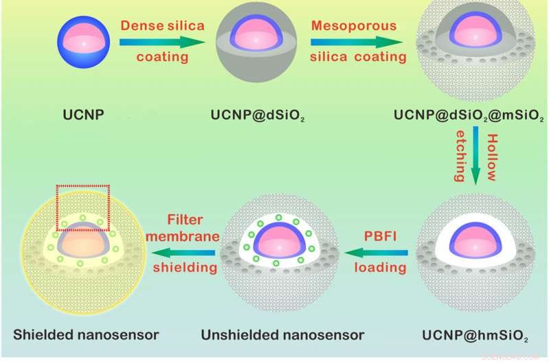 Advanced Nanosensor Accurately Detects Minute Brain Potassium Fluctuations