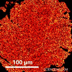 Advanced Nanosensor Accurately Detects Minute Brain Potassium Fluctuations