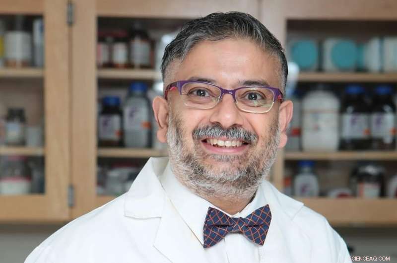 UTEP Chemists Engineer Nanohybrid Delivery System for Targeted Drug Transport