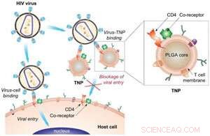 Decoy Nanoparticles Prevent HIV Infection: Innovative Nanosponge Technology