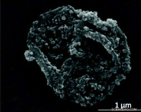 Scientists Harness Magnetism to Target Drug Delivery to Diseased Tissue