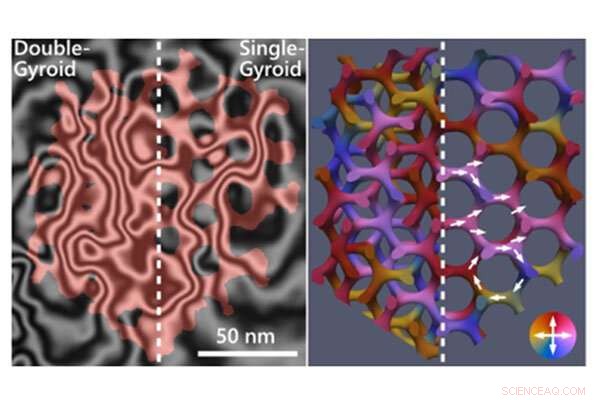 Revealed: Complex Magnetic Structures in 3D Nanoscale Gyroid Networks