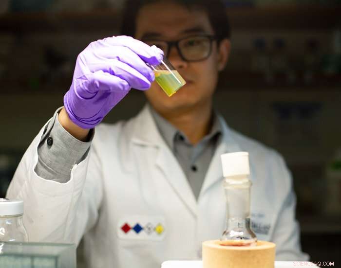 New Nanoparticle Technique Promises Breakthroughs in Brain Mapping and Virus Detection