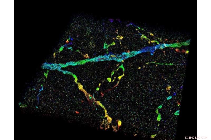 Purdue’s New Imaging Technology Reveals Nanoscale Structures Inside Whole Cells