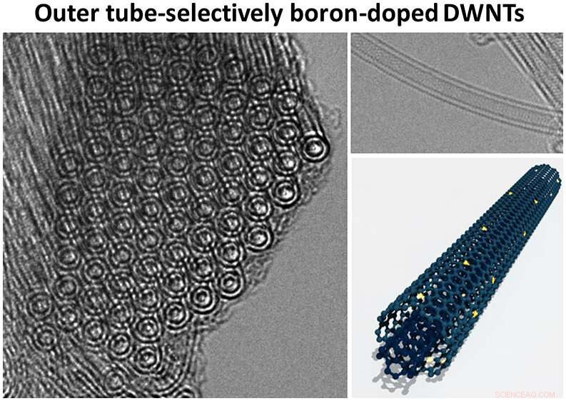 Outer Tube-Selective Boron-Doped Double-Walled Carbon Nanotubes for High-Performance Thermoelectric Applications