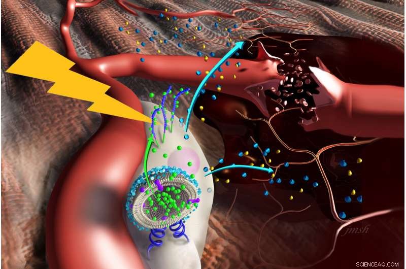 Nanostimulators Enhance Stem Cell Therapy to Accelerate Muscle Repair and Regeneration