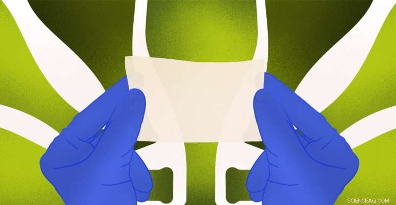 Red Wine‑Derived Nanofiber Mats Offer Durable Antioxidant Protection