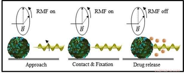 Microneedle Robot Locks onto Cancer Cells Using Magnetic Guidance