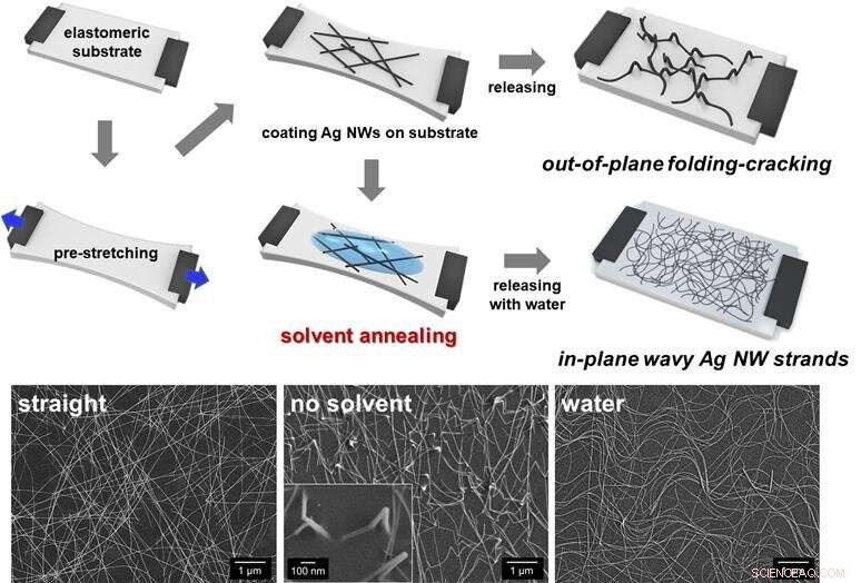 Korean Scientists Create Large-Scale Stretchable, Transparent Electrodes for Flexible Displays