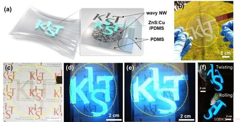 Korean Scientists Create Large-Scale Stretchable, Transparent Electrodes for Flexible Displays