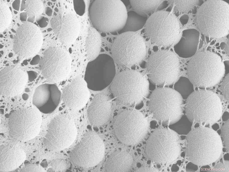 Nanocellulose-Fiber Reinforced Materials: A Breakthrough in Particle-Based Manufacturing