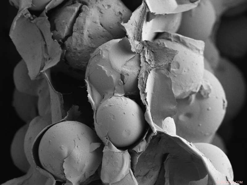 Nanocellulose-Fiber Reinforced Materials: A Breakthrough in Particle-Based Manufacturing