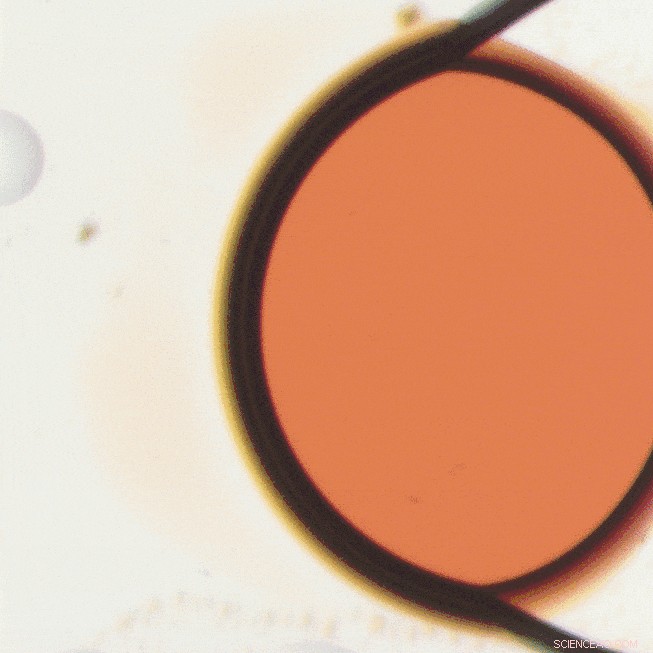 New Crystal Growth Technique Accelerates Drug Discovery