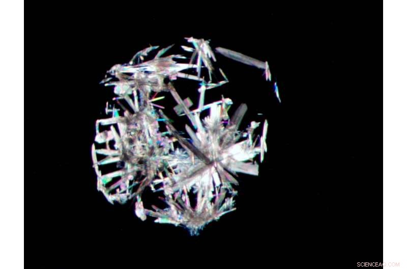 New Crystal Growth Technique Accelerates Drug Discovery