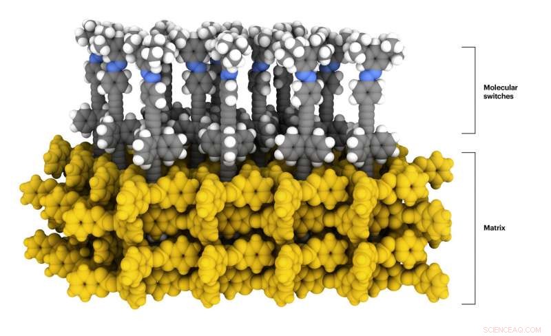 NMR Study Confirms Molecular Switches Function Unaltered in 2‑D Arrays