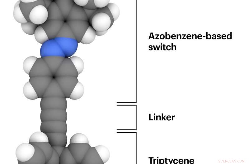 NMR Study Confirms Molecular Switches Function Unaltered in 2‑D Arrays