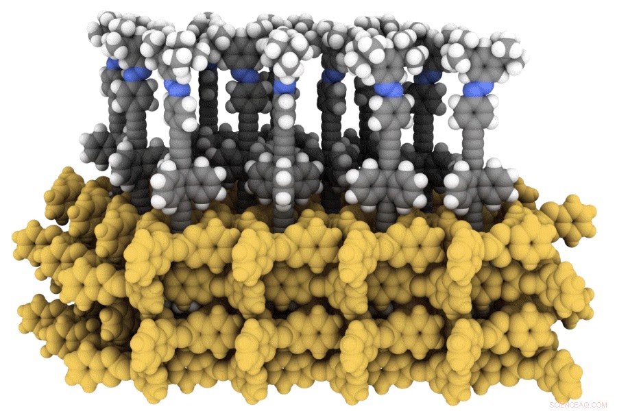 NMR Study Confirms Molecular Switches Function Unaltered in 2‑D Arrays