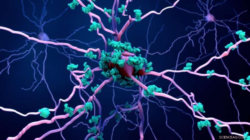 Revolutionary Imaging Technique Reveals Multiple Proteins Simultaneously, Advancing Alzheimer’s Research