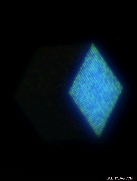 Creating vivid 3‑D color images with engineered reflective metasurfaces under white light