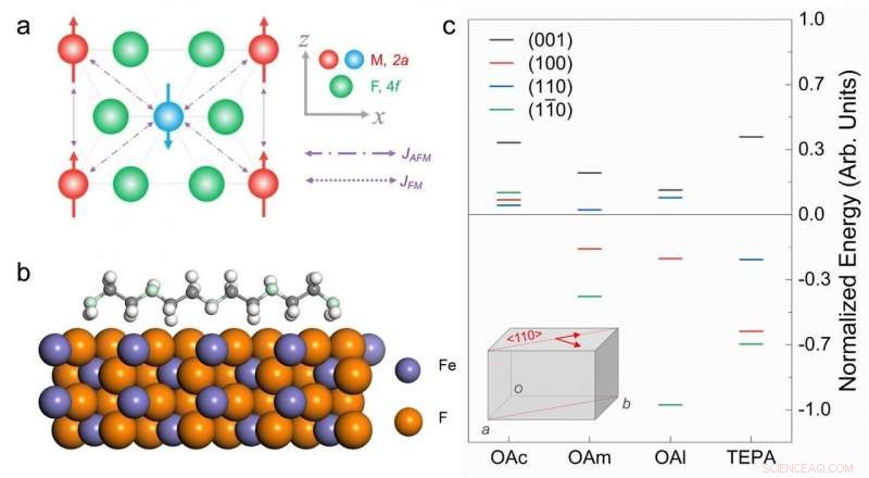Antiferromagnetic Fluoride Nanocrystals: Structure, Surface Chemistry, and Magnetic Interactions