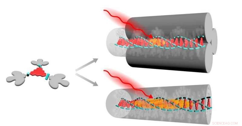 Efficient Energy Transport Achieved with Single-Molecule Nanowires