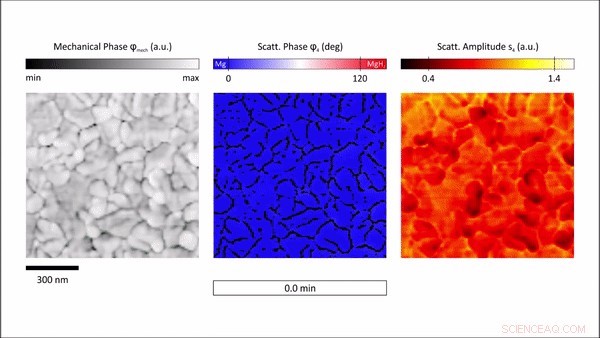 Visualizing Nanoscale Hydrogen Diffusion in Magnesium with In Situ s‑SNOM