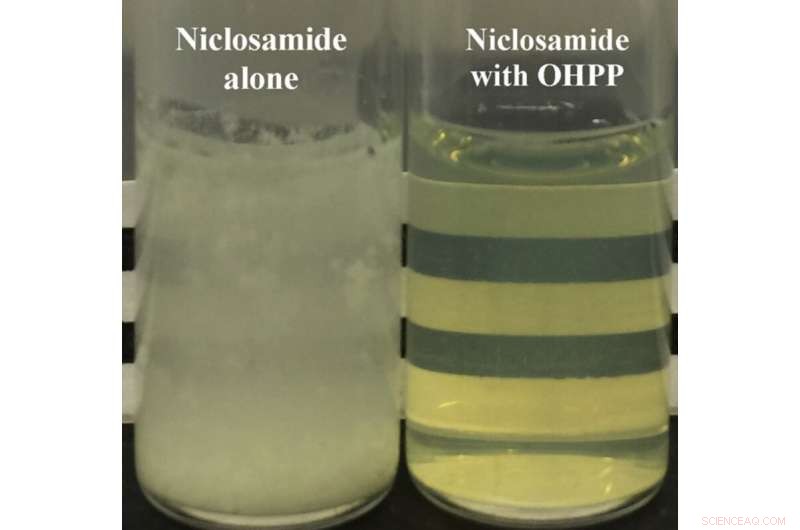 Nanomaterial Boosts Niclosamide’s Solubility, Enhancing Its COVID‑19 Therapeutic Potential