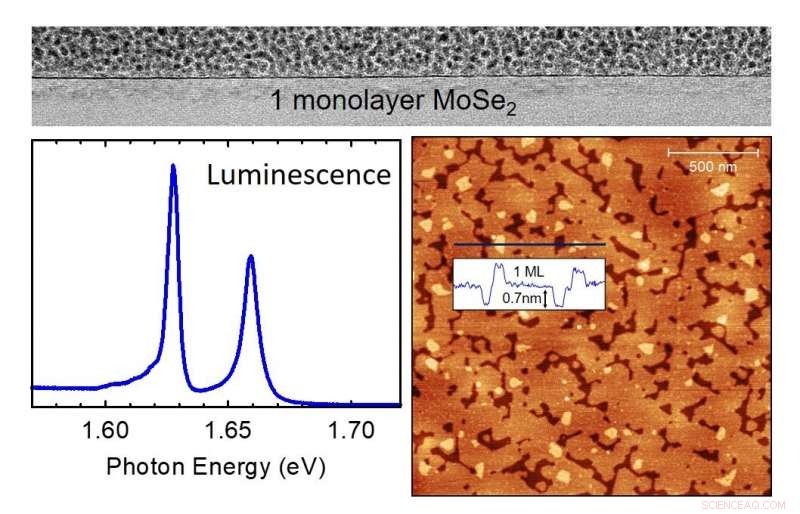 New Milestone: High-Quality 2‑D MoSe₂ Crystals with Superior Optical Performance