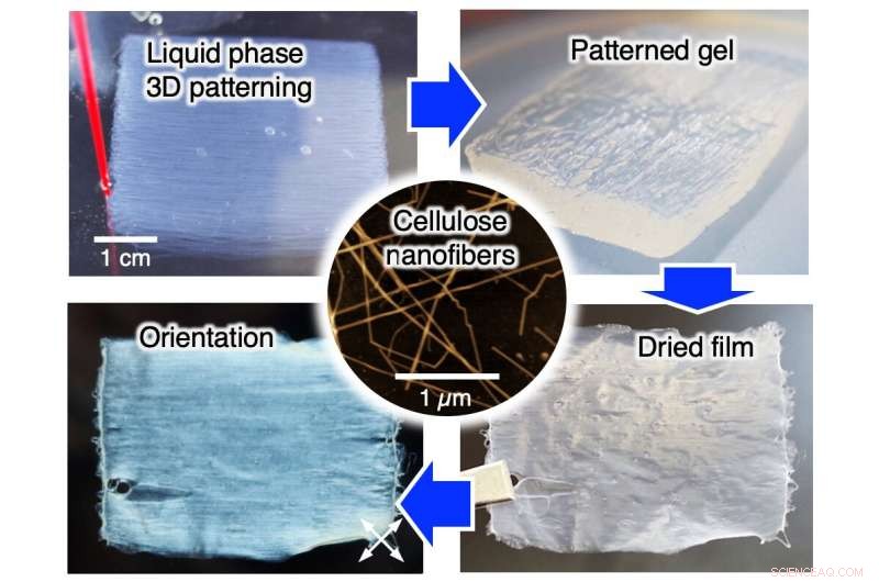 Liquid‑Phase 3‑D Printing Enables Nanofilms with Multi‑Axis Alignment