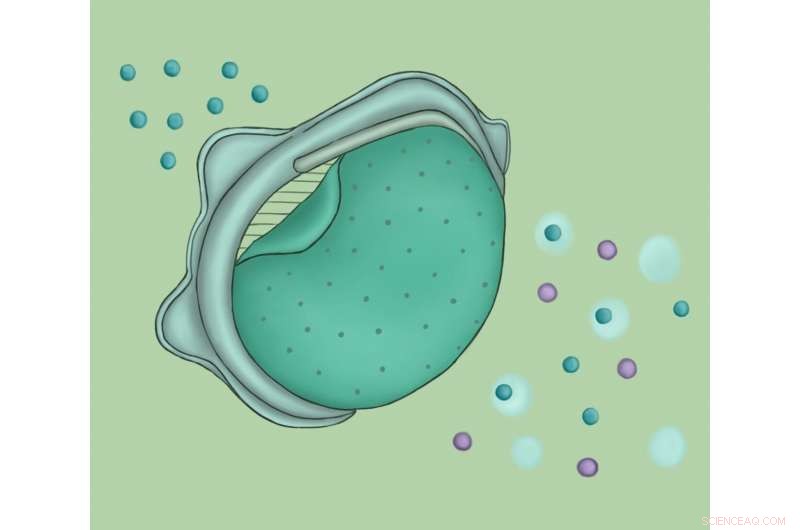 Enhance N95 Mask Performance with a Replaceable Nanoporous Filter