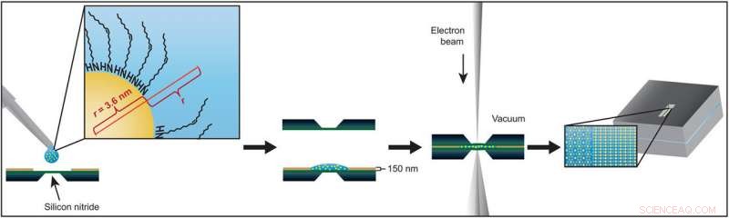 Real‑Time Liquid‑Phase TEM Reveals Nanoparticle Superlattice Assembly at Solid‑Liquid Interfaces in Non‑Polar Liquids