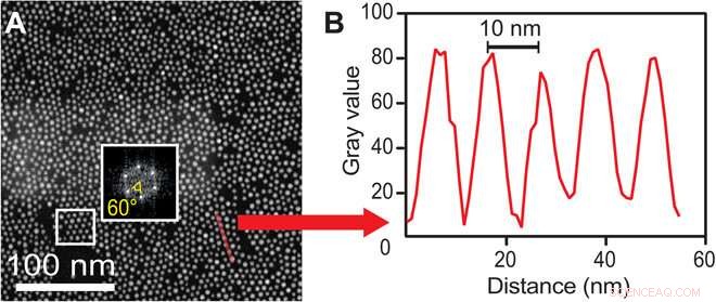 Real‑Time Liquid‑Phase TEM Reveals Nanoparticle Superlattice Assembly at Solid‑Liquid Interfaces in Non‑Polar Liquids