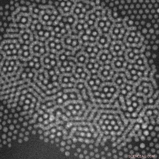 Real‑Time Liquid‑Phase TEM Reveals Nanoparticle Superlattice Assembly at Solid‑Liquid Interfaces in Non‑Polar Liquids