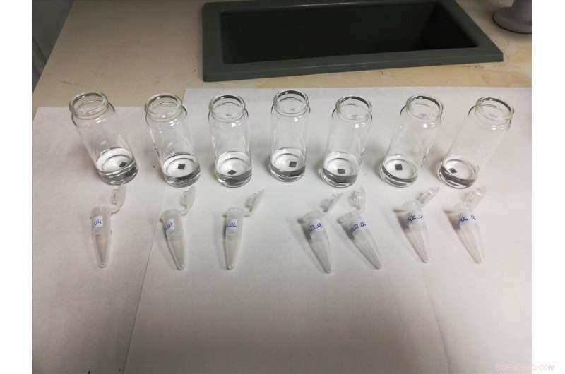 Enhancing Digital Memory Capacity and Durability Using Nanoneedle‑Induced Metamagnetic Modulation