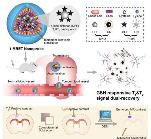 New Double‑Contrast MRI Technique Detects Tiny Tumors with Unmatched Precision