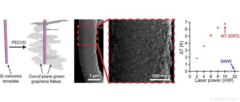 Graphene Nanowire Innovation Enables Precise Light-Controlled Neural Interaction