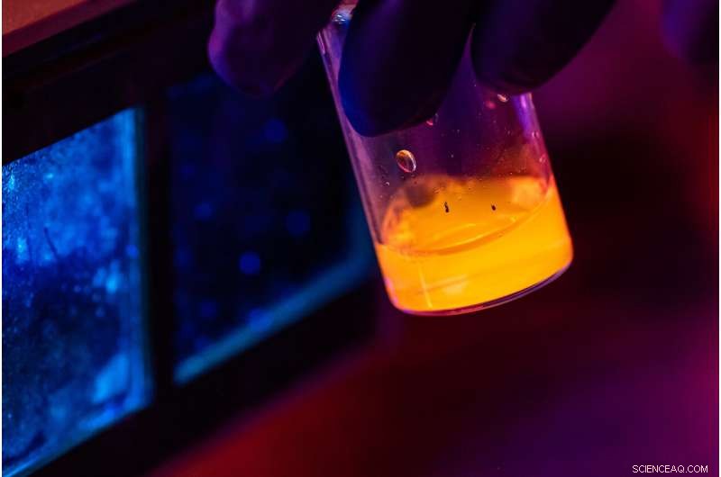 Boron Nitride Nanotubes Behave Predictably: New Video Captures Their Motion