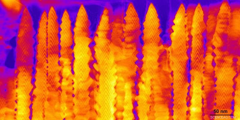 Crystalline Nanobrush Unlocks Advanced Energy and Information Technologies